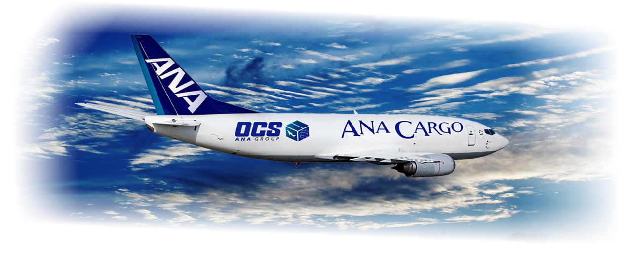 Samolot firmy OCS w przestworzach